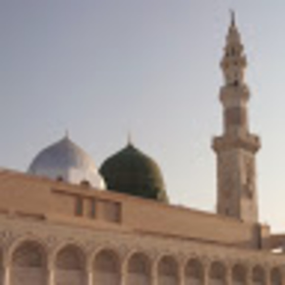 ayshasheikh65